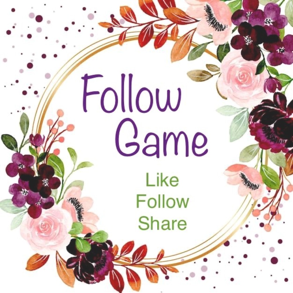✨New Follow Game✨    Come collect new followers! 🥳